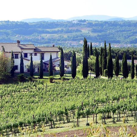 Il Collicello Villa นาร์นี ภายนอก รูปภาพ