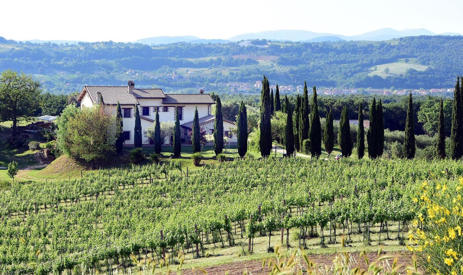 Il Collicello Villa นาร์นี ภายนอก รูปภาพ